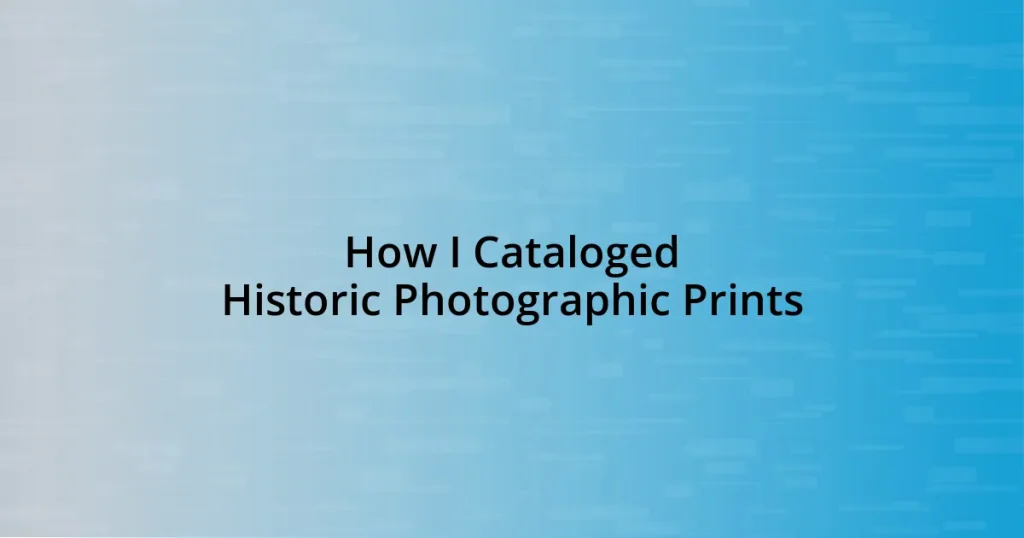 How I Cataloged Historic Photographic Prints