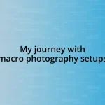 My journey with macro photography setups