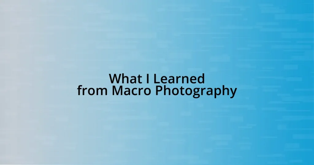 What I Learned from Macro Photography