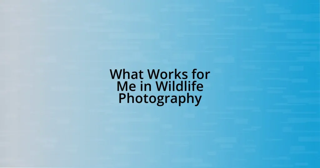 What Works for Me in Wildlife Photography