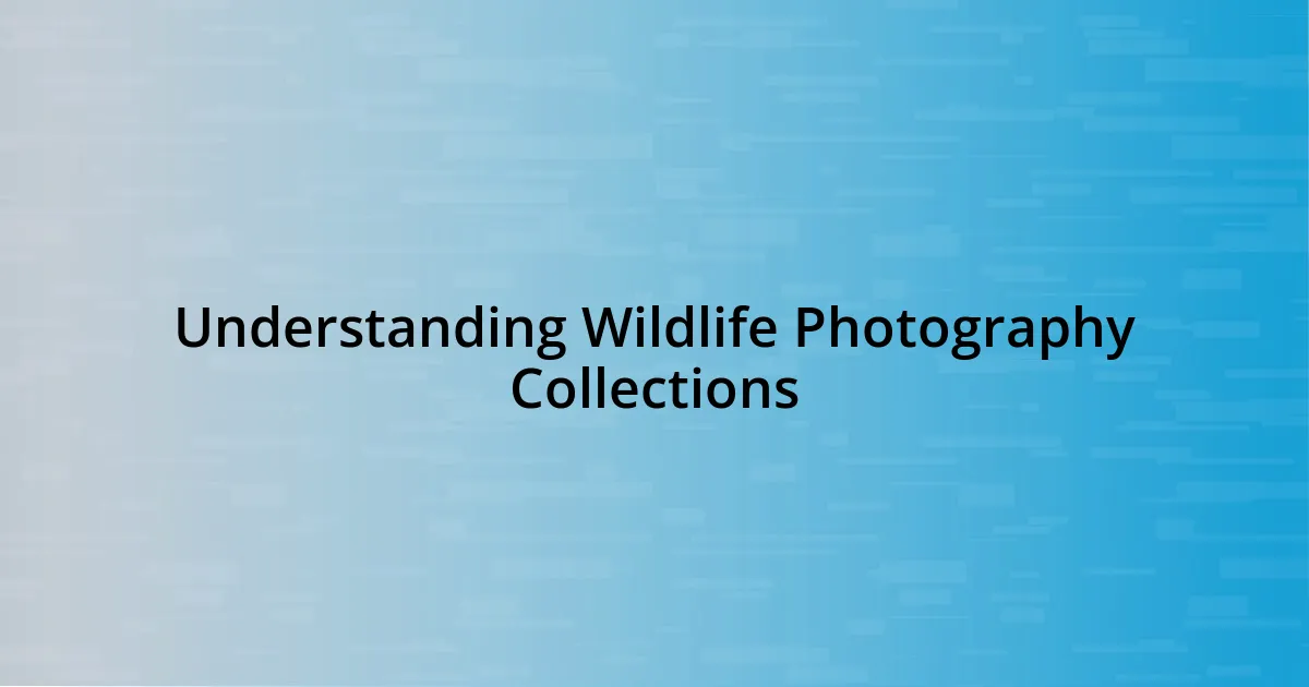 Understanding Wildlife Photography Collections