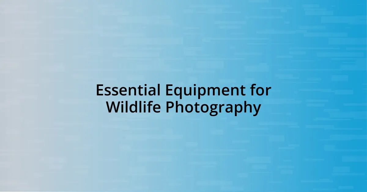 Essential Equipment for Wildlife Photography