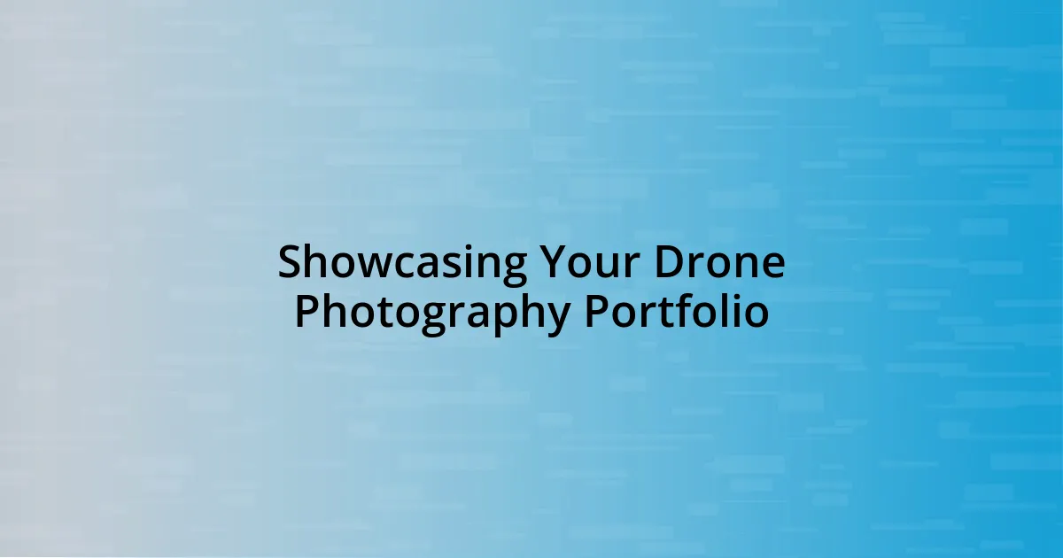 Showcasing Your Drone Photography Portfolio