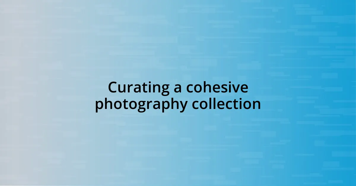 Curating a cohesive photography collection