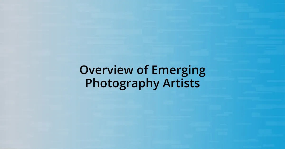 Overview of Emerging Photography Artists