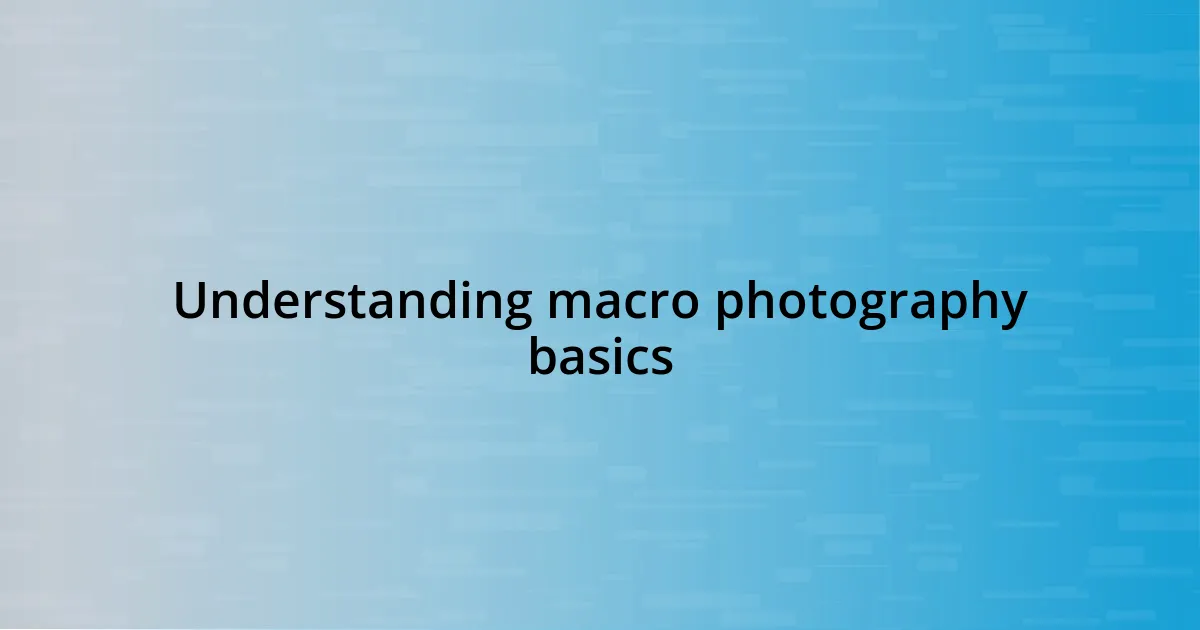 Understanding macro photography basics