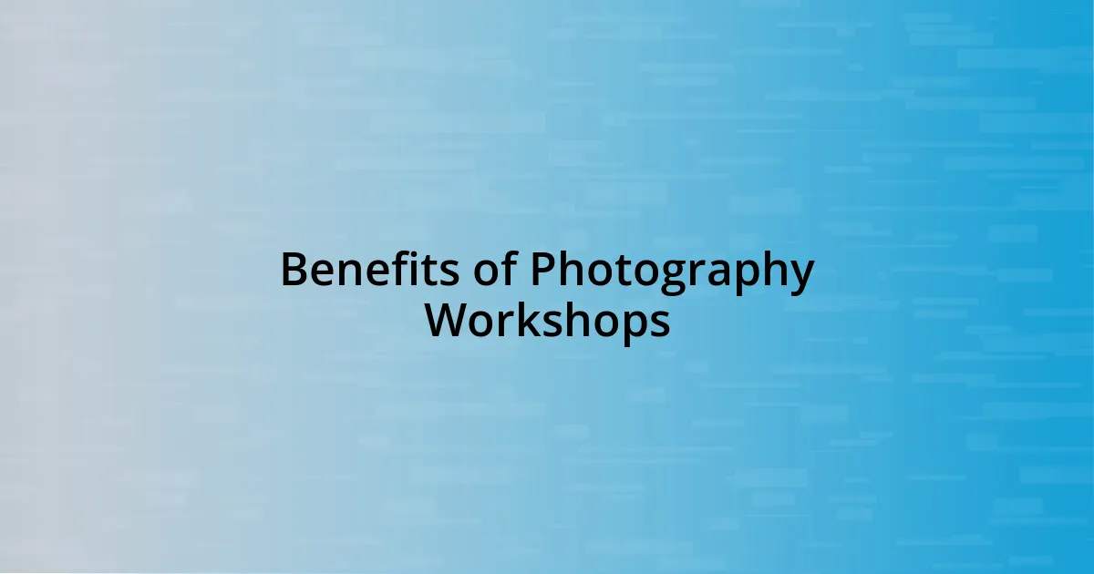 Benefits of Photography Workshops