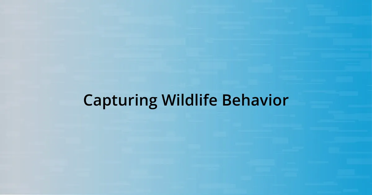 Capturing Wildlife Behavior